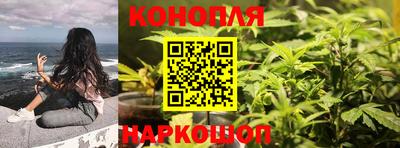 spice Гатчина