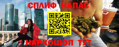 spice Гатчина